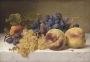Johann Wilhelm Preyer A Still Life with Peaches and Grapes on a Marble Ledge oil painting reproduction